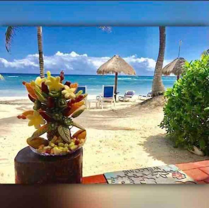 Beachfront Akumal Half Moon Bay Εξωτερικό φωτογραφία