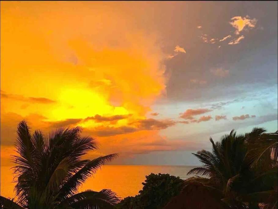 Beachfront Akumal Half Moon Bay Εξωτερικό φωτογραφία