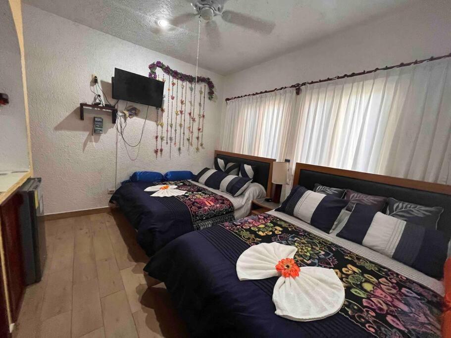 Beachfront Akumal Half Moon Bay Εξωτερικό φωτογραφία